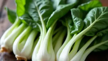 Fresh baby bok choy on a wooden table