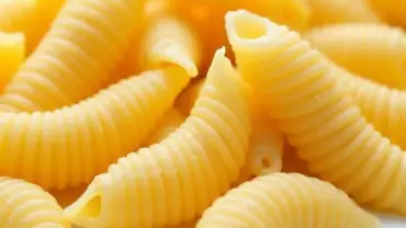 Various pasta shapes suitable for vegan cold pasta salad.