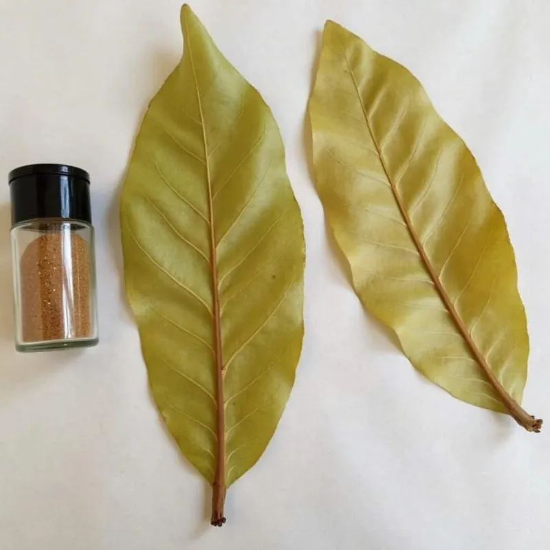 Dried bay leaves in a spice jar