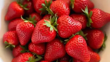 Fresh Strawberries