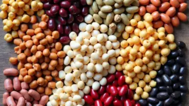 Colorful array of beans for vegan 10-bean soup.