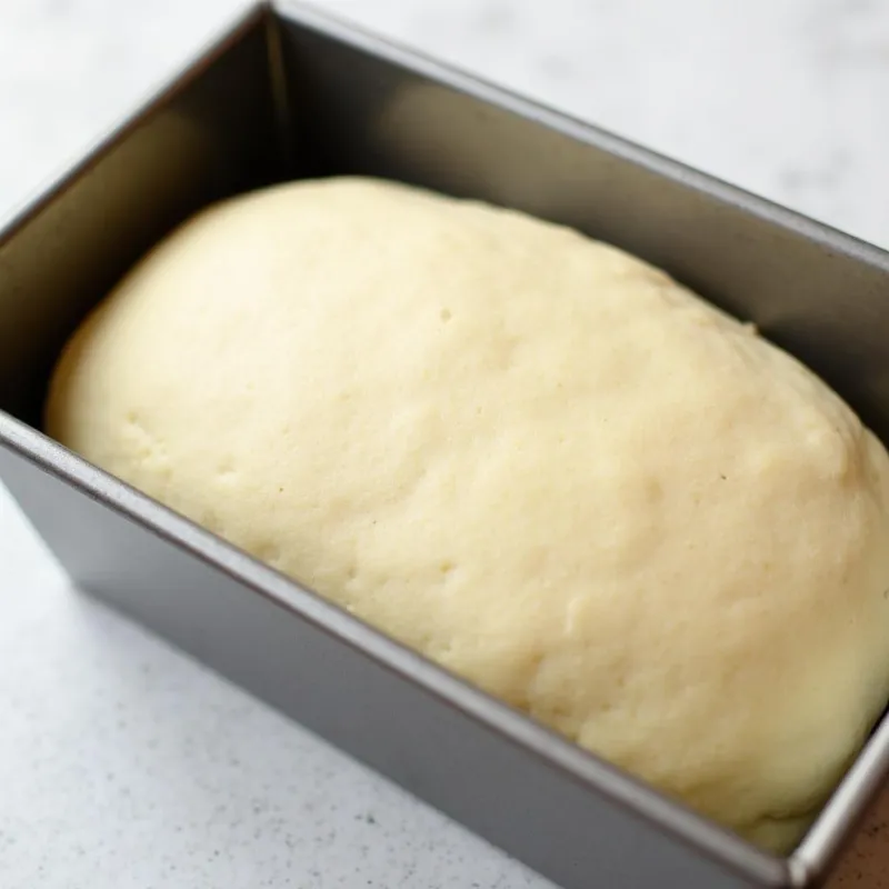 Vegan bread loaf second rise