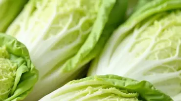 Variety of fresh vegan chinese cabbage