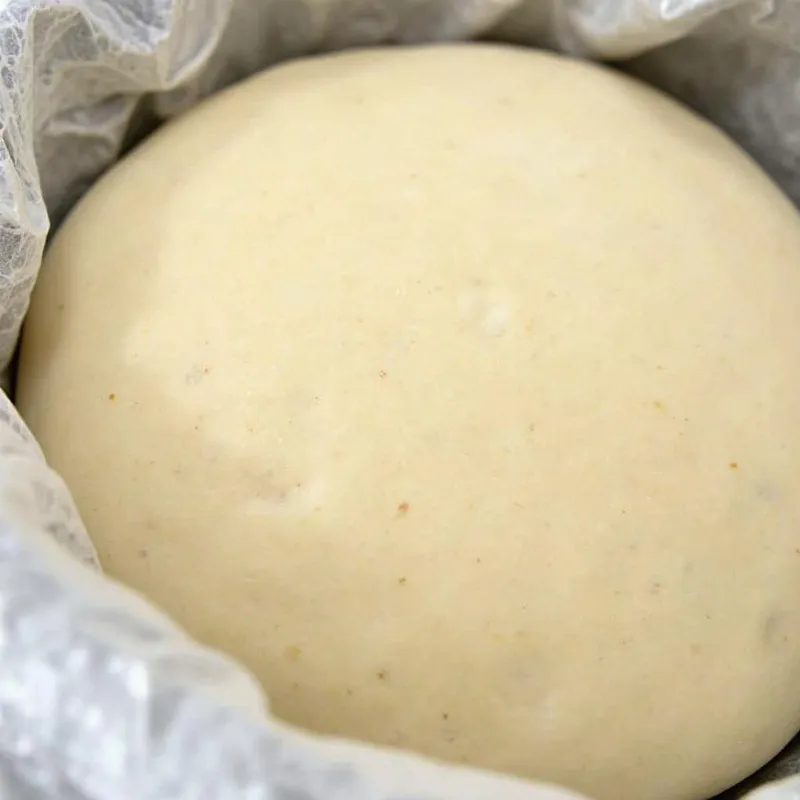 Vegan Sourdough Dough in a Bowl